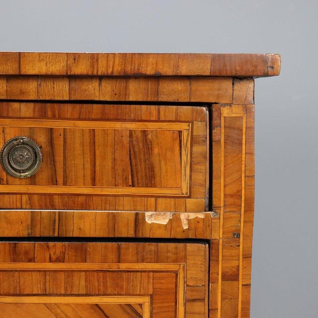 Neoclassical Walnut Chest of Drawers For Sale - Image 4 of 12