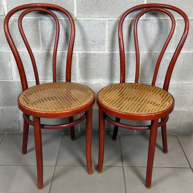 Vintage Chairs in Bent Wood and Vienna Straw, 1960s, Set of 2 For Sale - Image 13 of 13