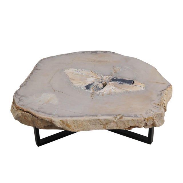Petrified Wood Coffee Table by Xyleia Petrified Wood For Sale - Image 4 of 4