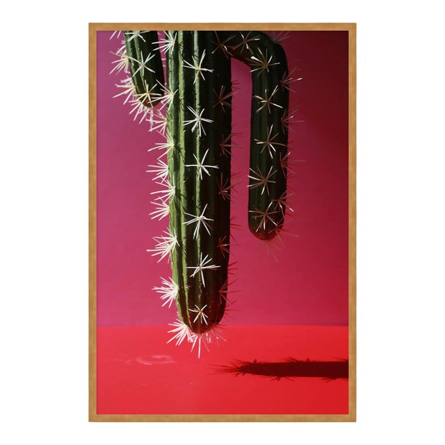 Rebel by Kara Buse Contemporary Photograph in Gold Frame, Small For Sale