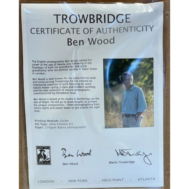 Trowbridge Gallery Ben Wood Agate Nautilus Set of 3 For Sale - Image 9 of 10