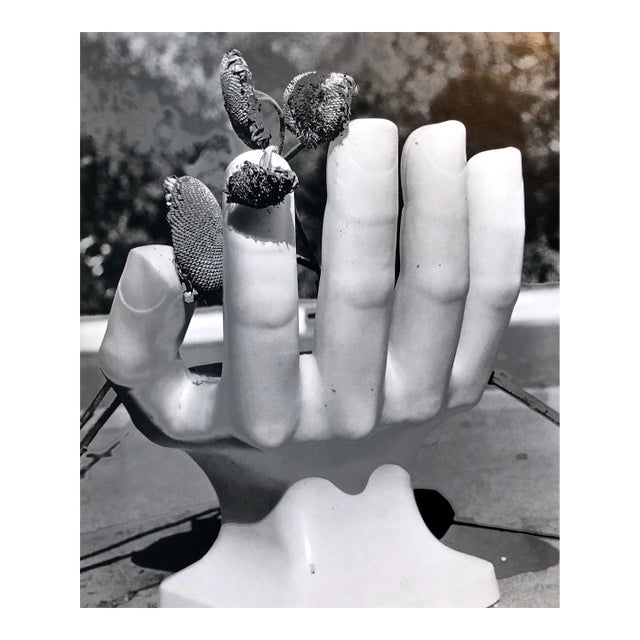 Naomi SavagePhoto Of Pedro Friedeberg Hand Chair Vintage Silver Gelatin Photograph, 1981 For Sale