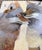 “Coyote Love” Art by LWren Walraven For Sale - Image 9 of 11