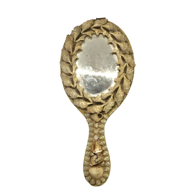 Victorian Shell Hand Mirror for Vanity For Sale In Charleston - Image 6 of 6