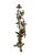 French Antique French Brass Lilly Five Arm Candelabra For Sale - Image 3 of 10