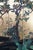 Chinese Export 8 Panel Coromandel Gold Leaf Lacquer Folding Screen Room Divider For Sale - Image 12 of 18