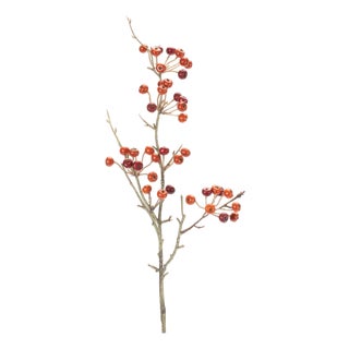 Berry Pod Spray (Set of 6) For Sale