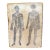 1800s Limestone Medical Lithography Plate For Sale