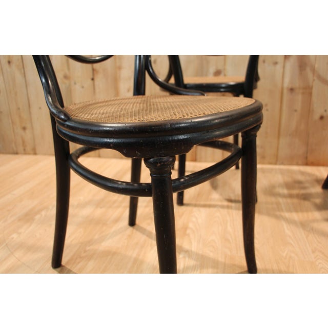 Vintage Chairs by Michael Thonet for Gebrüder Thonet, 1880, Set of 6 For Sale - Image 10 of 13