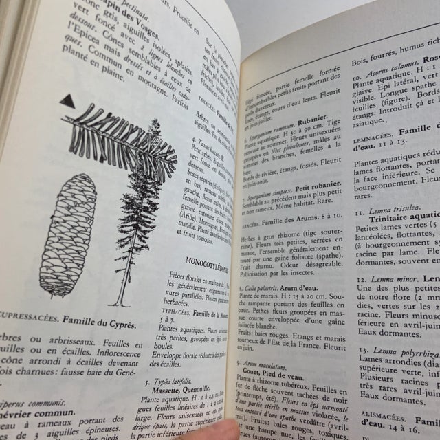 Paper 1970 Fleurs Des Campagnes Country Flowers Book For Sale - Image 7 of 11