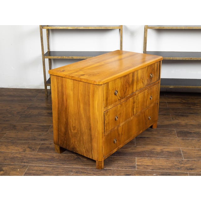 Austrian 19th Century Biedermeier Commode with Three Butterfly Veneered Drawers For Sale - Image 11 of 12