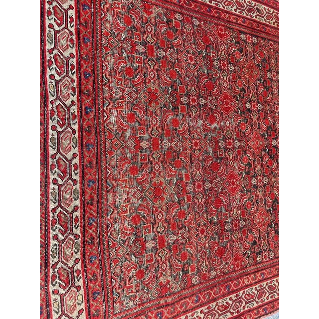 Fine Malayer Rug, 1890s For Sale - Image 3 of 18