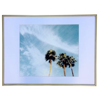 Palm Springs Palms Photograph For Sale