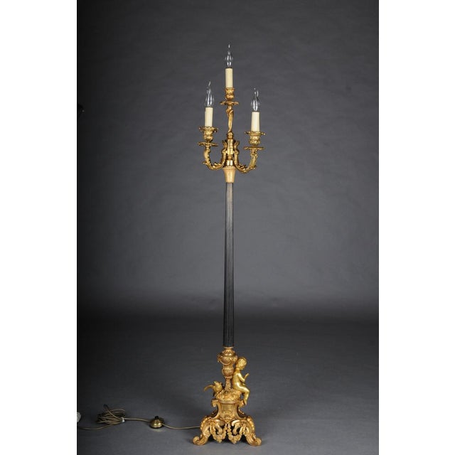 Louis XV Napoleon III Salon Floor Lamp, Paris, France, 1880s For Sale - Image 18 of 18