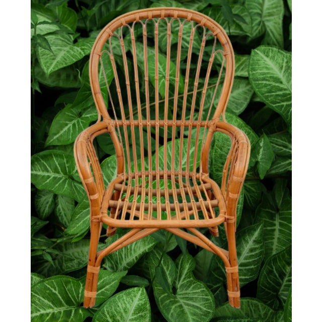 1980s Vintage Franco Albini’s Style Rattan Lounge Chairs - Set of 4 For Sale - Image 5 of 9