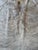 2000 - 2009 Extra Large Natural Gray Brindle Brazilian Cowhide Rug 92" X 100" For Sale - Image 5 of 5