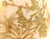 1910s 1910s Alfred Lanternier Limoges Hand Painted Cream Bisque Chocolate Pot For Sale - Image 5 of 17
