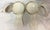 Vintage Italian Porcelain Turtle Dove Boxes- A Pair For Sale - Image 14 of 17