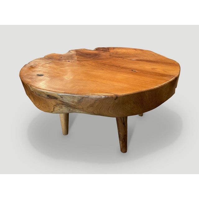 Andrianna Shamaris Mid-Century Style Organic Coffee Table For Sale - Image 17 of 18