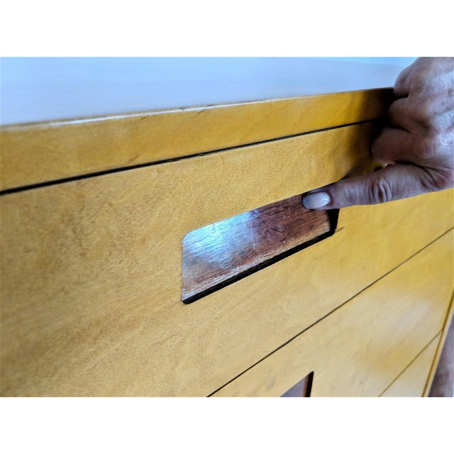 Wood 1950s Clifford Pascoe Cabinet For Sale - Image 7 of 11