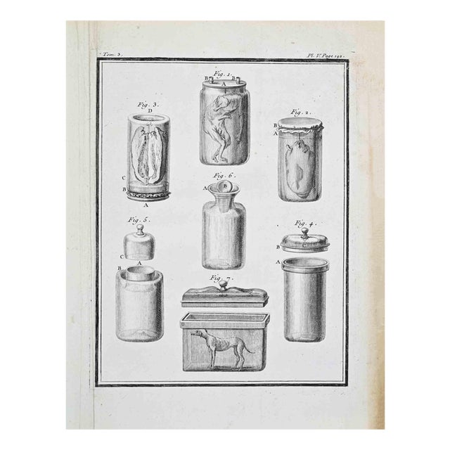 Jacques de Seve, Anatomical Studies, Etching, 1771 For Sale
