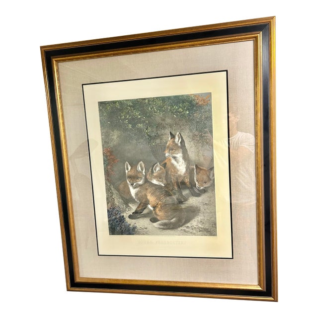 Late 19th Century ‘Young Freebooters’ S.J. Carter Print by Alfred Lucas For Sale