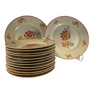 Vintage Italian Plates by Richard Ginori, 1940s, Set of 14 For Sale