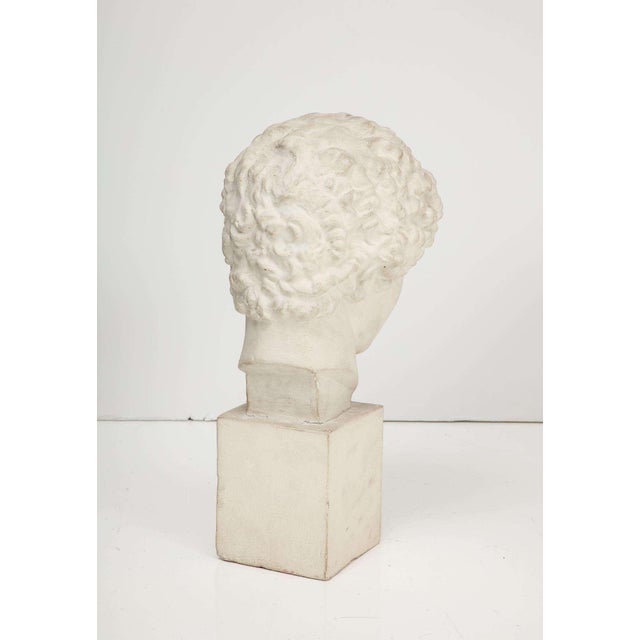 Neoclassical Plaster Bust For Sale - Image 3 of 7