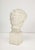 Neoclassical Plaster Bust For Sale - Image 3 of 7