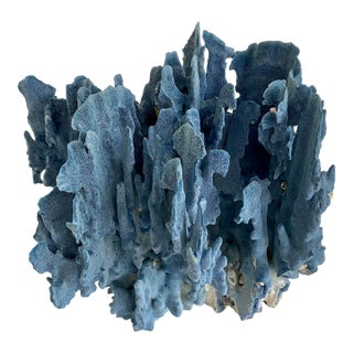 Extraordinary Natural Blue Coral Specimen For Sale
