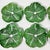 Ceramic 1990s Vintage Hollywood Regency Boho Chic Majolica Cabbage Ware Dinner Plates - Set of 6. For Sale - Image 7 of 14