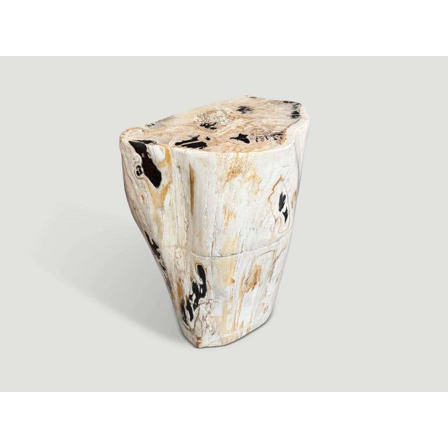 2010s Andrianna Shamaris Multifaceted Modern Organic Petrified Wood Side Table For Sale - Image 5 of 6