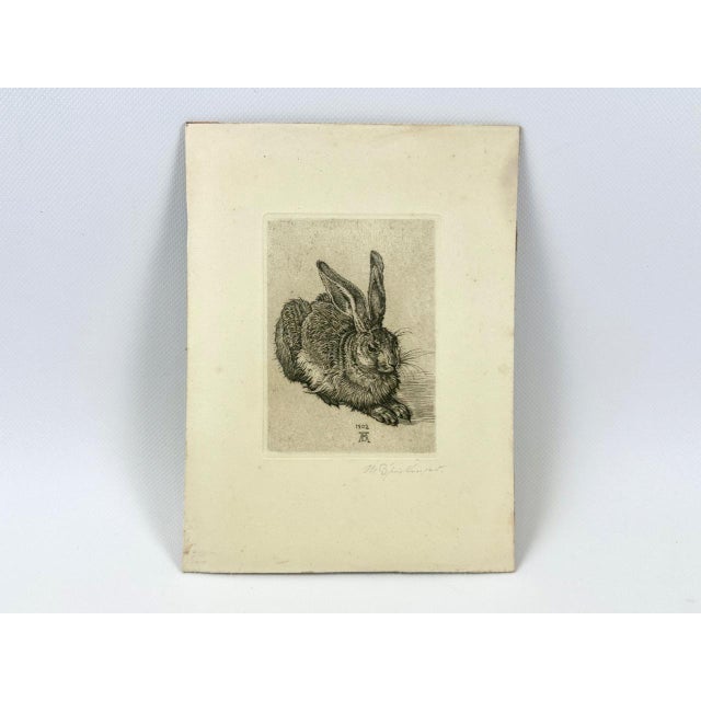 Black After Albrecht Dürer, Young Hare, Copperplate Engraving, 19th Century For Sale - Image 8 of 8