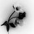 Black Hellebore No.5 reflects on openness and retreat through two flowers, one facing outward and one bowed. Made by Ugnė...