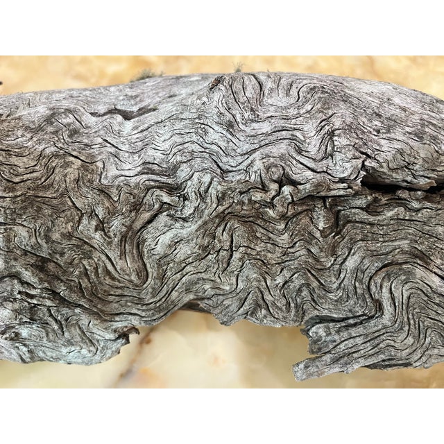 1854 Big Burn Ghost Forest Large 4-Foot Ribbon Grain Architectural Sculpture For Sale - Image 9 of 9