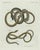 Paper Bertuch, Four Slow Worms and Legless Lizards, 1802, Engraving For Sale - Image 7 of 10