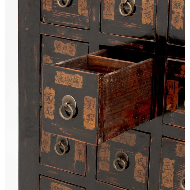 Chinese Apothecary Cabinet, 19th Century For Sale In New York - Image 6 of 11