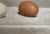 Eric Forstmann Eggstrapolate, 2026 oil on masonite 8.75 x 21.5 in. Eric Forstmann b. 1962 / Warren, CT Eric Forstmann...