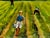 British 20th Century Landscape Oil Painting, Strawberry Pickers Harvesting in West Sussex South Downs For Sale - Image 12 of 18