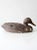 1950s Vintage Foam Duck Decoy For Sale - Image 5 of 9