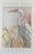 Louise Freshman Brown Untitled (Avian Study) Poster Print After the Original Signed Artwork This poster reproduction...