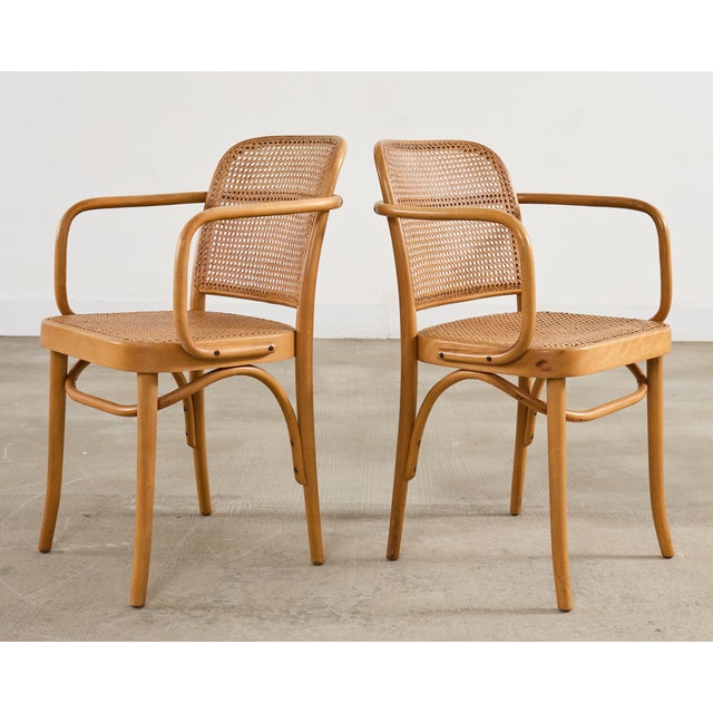 Wood Set of Four Thonet Prague Bentwood Armchairs by Josef Hoffman For Sale - Image 7 of 18