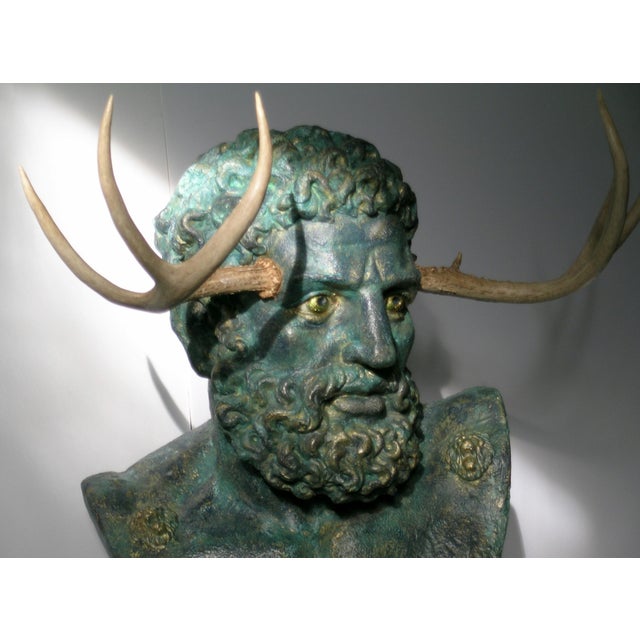 2000 - 2009 Greek Horned Male Greek Good With Reals Antlers For Sale - Image 5 of 6
