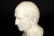 Italian Grand Tour Antique Marble Bust of Marcus Cicero, 19th Century For Sale - Image 11 of 13