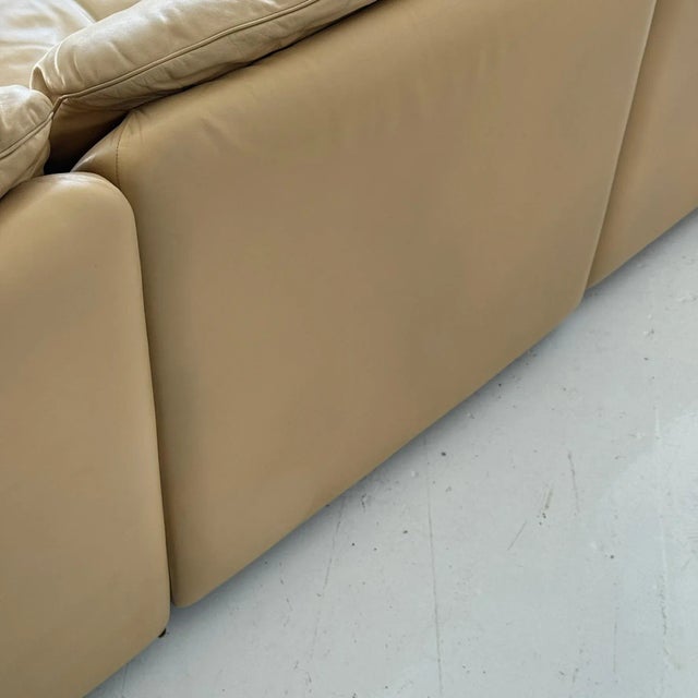 Ds-66 Leather Sofa by De Sede For Sale - Image 11 of 12