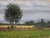 The Far Away Mill by Michael DeVore | Oil on panel Landscape with trees and a distant windmill For Sale