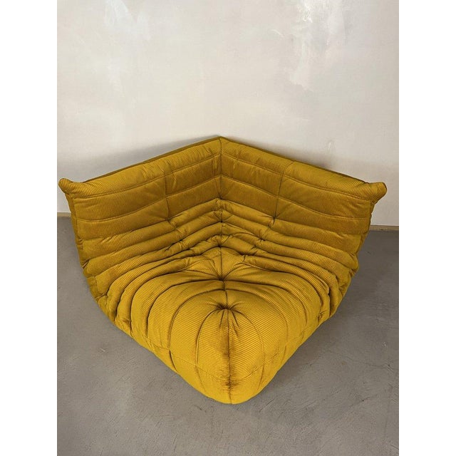 Ligne Roset Goldenrod Togo Living Room Set by Michel Ducaroy for Ligne Roset, Set of 5 For Sale - Image 4 of 12