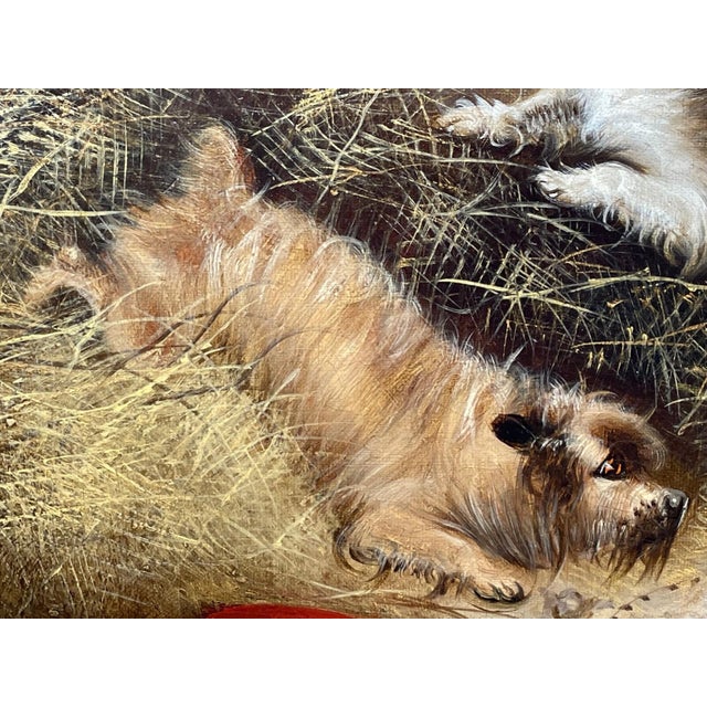 Edward Armfield 19th Century a Sharp Lookout Terriers Ratting Oil Painting For Sale - Image 4 of 15