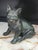 Metal 1980s Maitland-Smith Dog Sculpture Bronze Cast Metal Resting Pug Boxer Puppy Model For Sale - Image 7 of 9