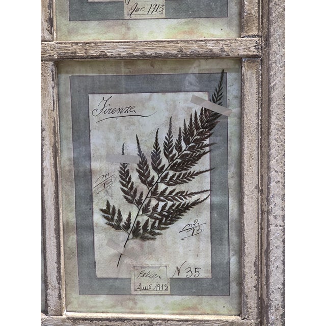 Decorative Panel with Framed Botanical Composition, 1920s For Sale - Image 10 of 14